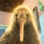 Kiwi icon