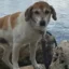 ben icon