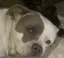 Justice for Leah icon