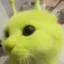 green cat icon