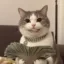 Paid Cat icon