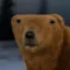ber icon
