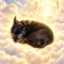 Justice for Pepper icon