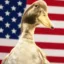 Olivia The Duck icon