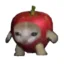 Apple Cat icon
