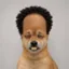 Dior Inu icon