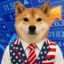 American Inuvestor icon