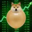 Inuflation icon