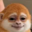 Apeinu icon