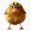 Angry-Bird icon