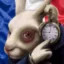 White Rabbit icon