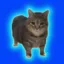 Ethel The memecat icon