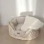 Cooper the invisible dog icon