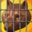 Copperinu icon