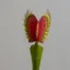 Venus flytrap icon