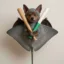 BatBatonRay icon