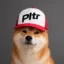 PLANTIR INU icon