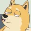 duge icon