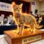 The 7 Figure Cat icon