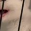 Spidercat icon