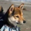 negeren aske icon