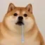 .SI icon