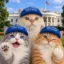 Democats icon