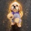 67 dog icon