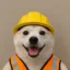 Hardhat icon