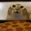 Pizza Cat icon