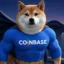 Super Inu icon