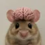 Humouse icon