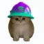 builder cat icon
