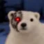 cybear icon