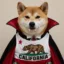 Vamp Inu icon