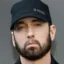 Justice For Eminem icon