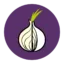 The Onion icon