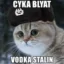 су́ка бля́дь icon