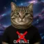Anti Inu icon