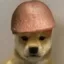 Dick Inu icon