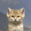 The Sandcat icon