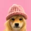 SWIF icon