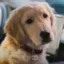Tucker Mode icon