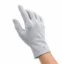 Apple Touch Glove icon