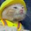 SUE icon