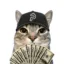 Here To Take Paid Sir icon