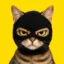 Scam Cat icon