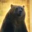 The Chonky Bear icon