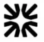 Fin icon