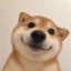 Fred icon